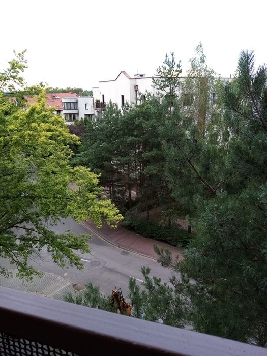 Mieszkanie Osiedle Ptasie, widok , blisko lasu