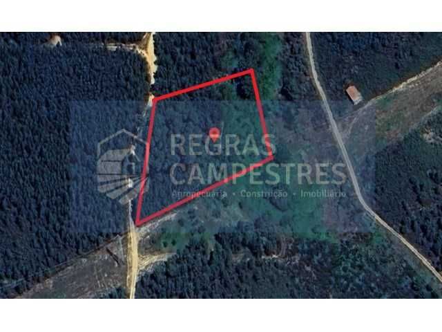 TERRENO RÚSTICO (FLORESTAL) SILVARES - FUNDÃO