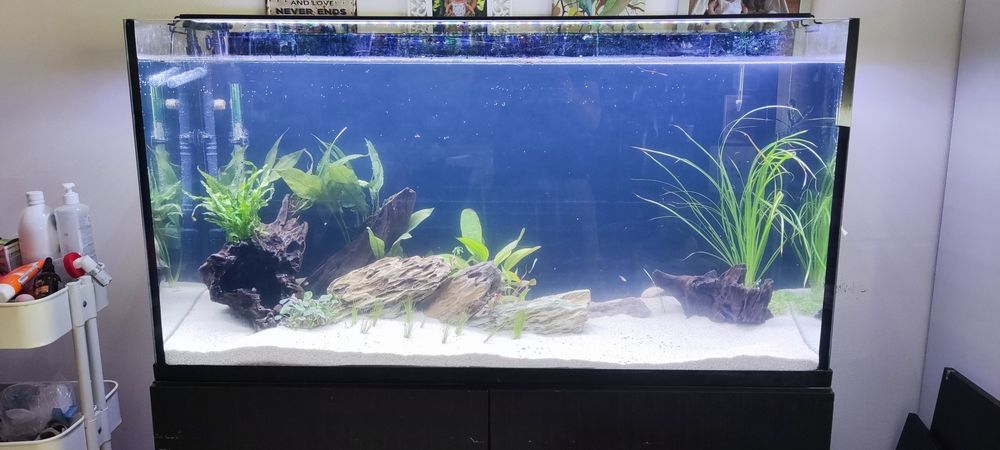 Aquário 300L  - 120x70x40