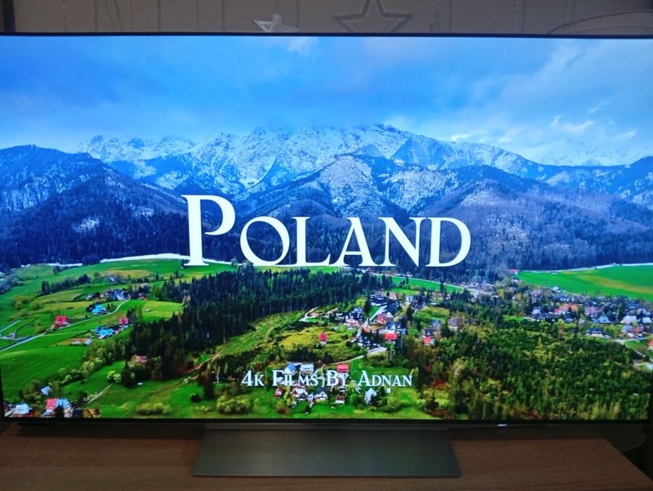 LG OLED 49cali wszystko działa odbiór osobisty