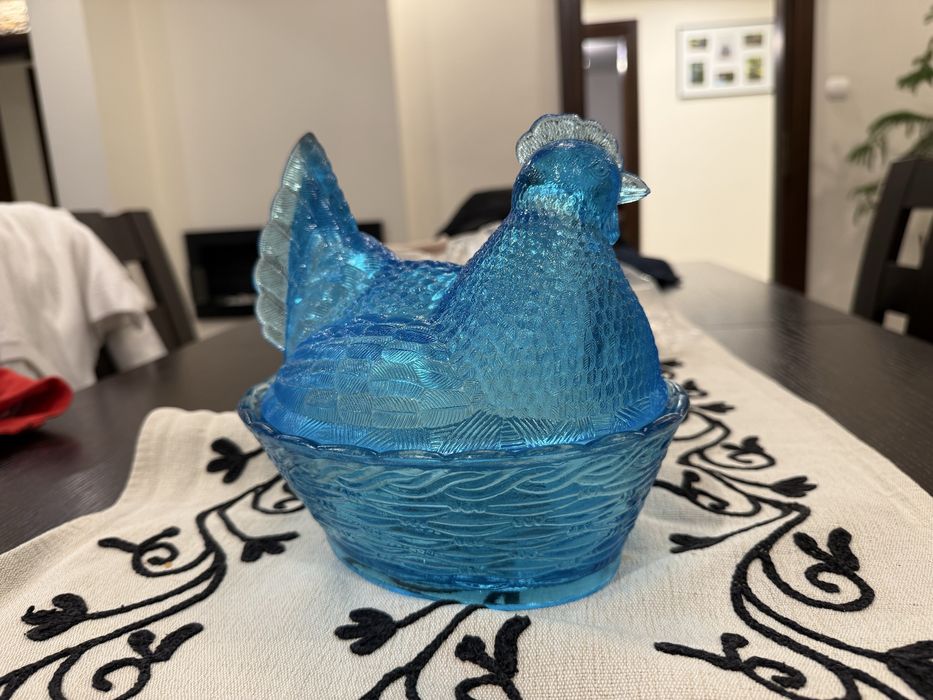 Kura ząbkowice  niebieska