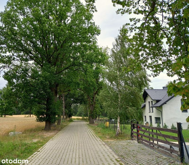 Zdjęcie 6