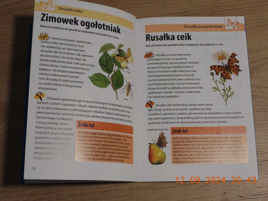 Mój pierwszy przewodnik Jaki to motyl? H.M. Garbarczyk JAK NOWA
