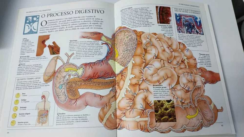 2 livros "Viver em forma todo o ano + Dieta e Nutrição"