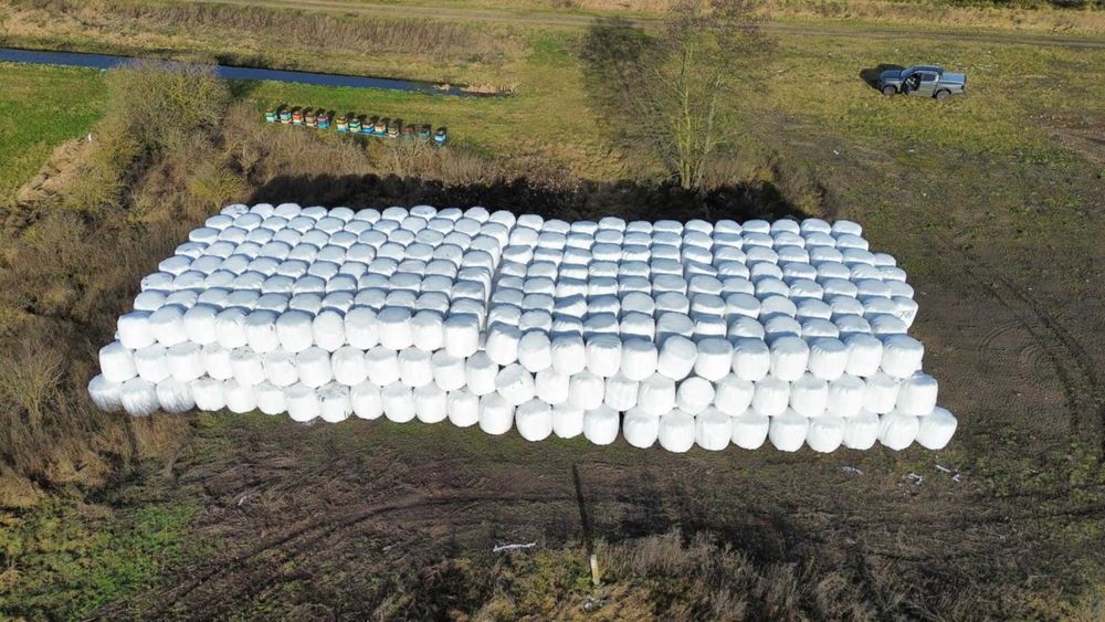 Sianokiszonka - Pasza Lepsza mleczność Zdrowe bydło Wysokie przyrosty