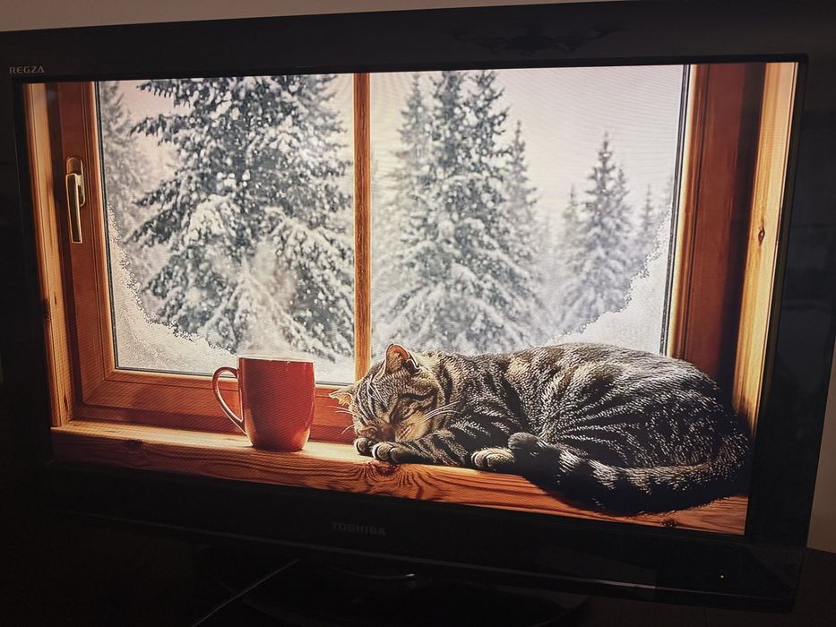 TV Toshiba Regza 32 Polegadas (Com detalhes no ecrã)