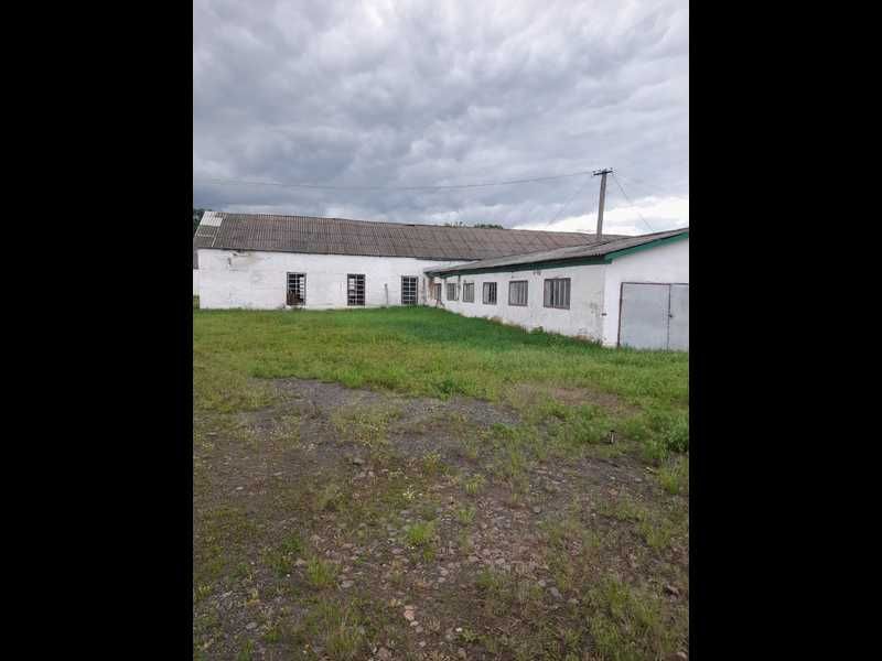 Оренда цеху переробки деревини с. Слюсареве Одеська область