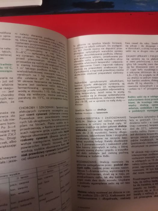 Technika powiekszania w fotografii