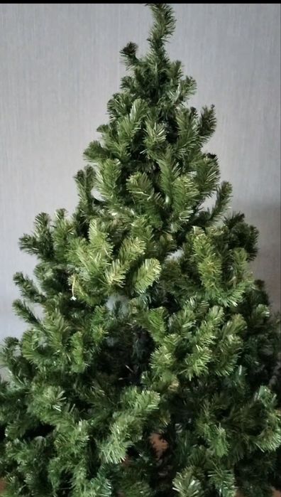 Árvore de natal