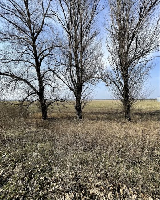 Продаж земельної ділянки