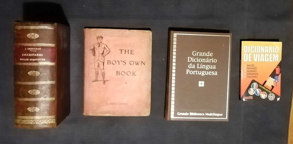 Dicionários Diversos (Lote)