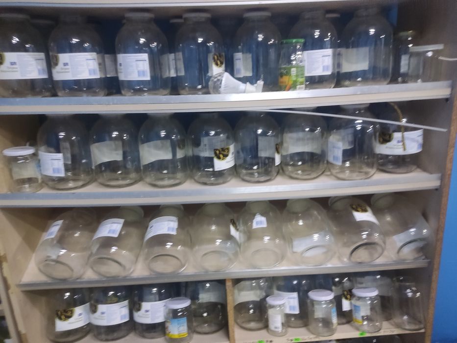 Продам трьохлітрові банки