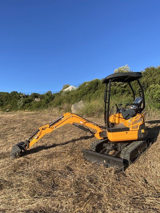 Aluguer de Mini giratoria de 2 TON