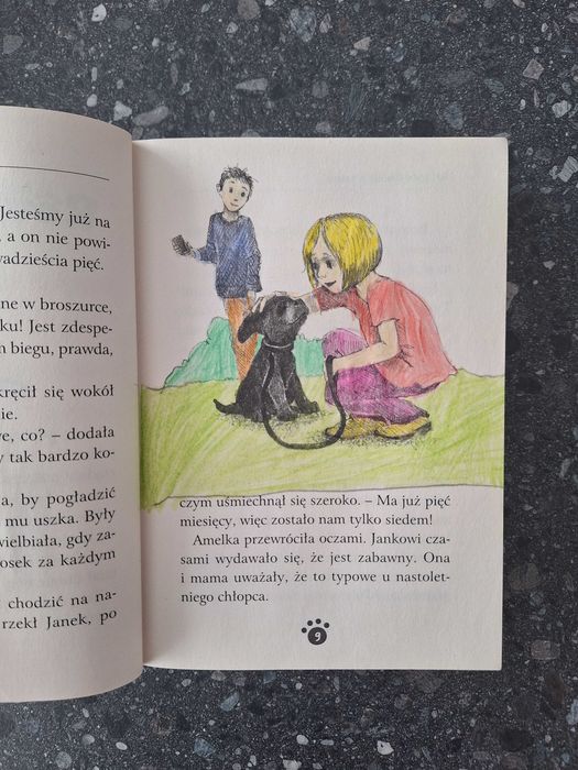 zaopiekuj się mną Holly Webb opowieści o pieskach