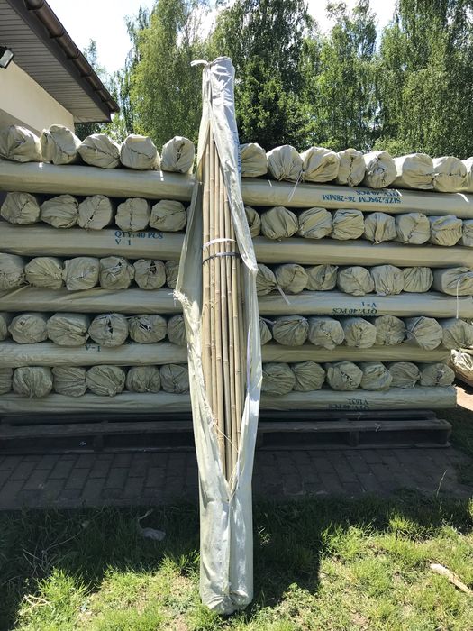 Tyczki bambusowe bambus 20/22mm 210cm Nowa Dostawa