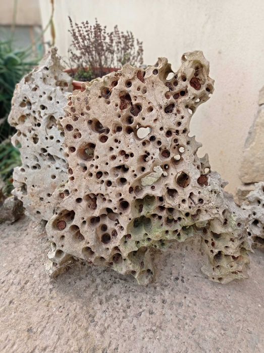 Pedras para decoração de jardim