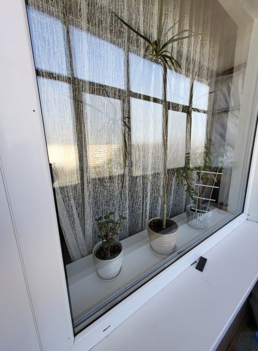 Большая 1 ком. квартира в Южном м-не