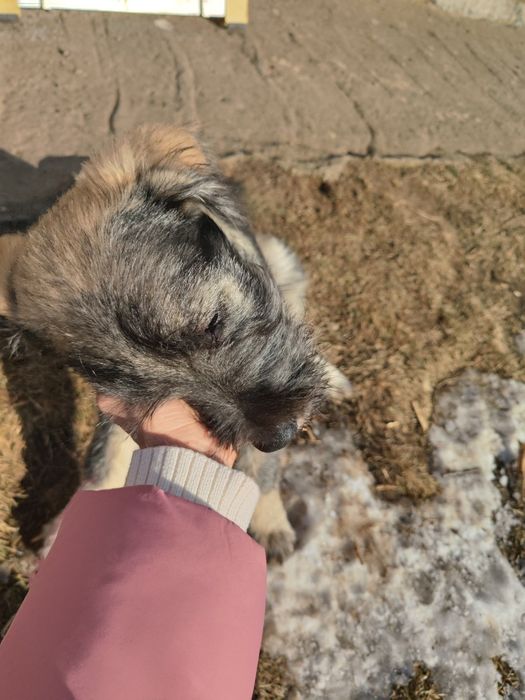 Szukamy najlepszego domu pod Słońcem