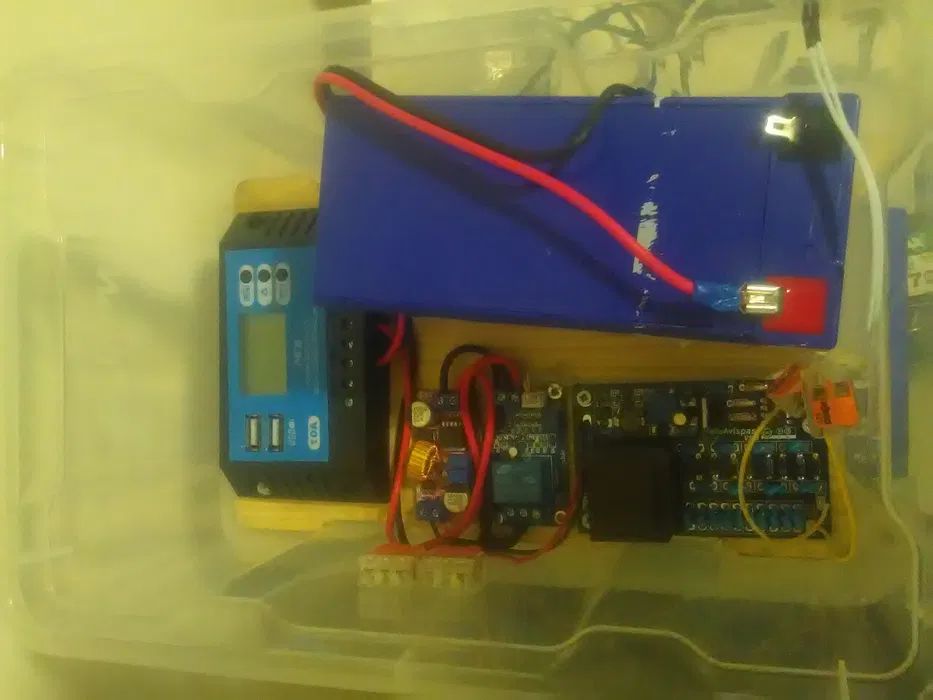 Sistemas para matar vespas asiáticas a bom preço.