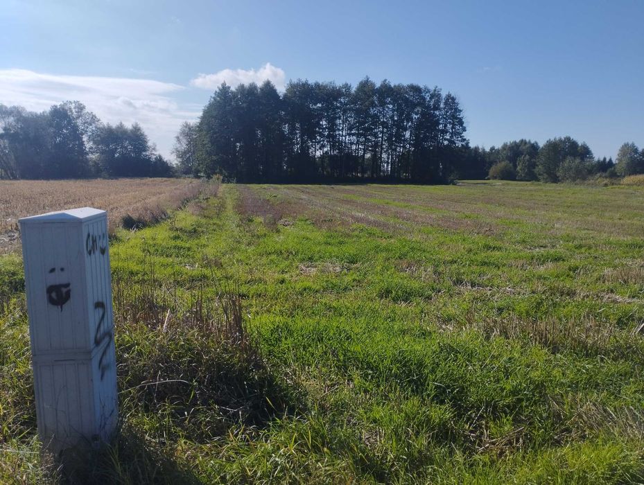 Działka Budowlana z Warunkami zabudowy