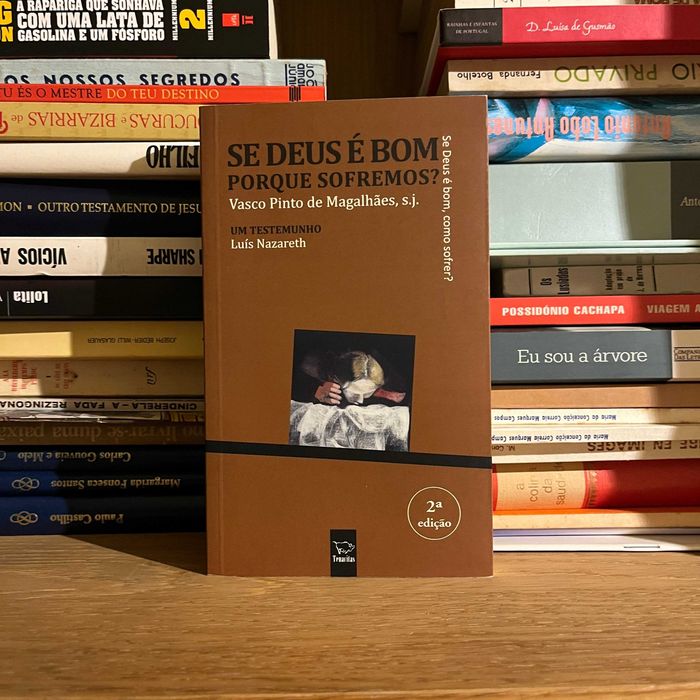 Vasco Pinto de Magalhães, s.j. - Se Deus é Bom, Porque Sofremos?