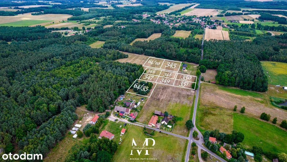 Pięknie położone działki | LAS | Domasławice | Okazja! 15-30 arów - Widok 2