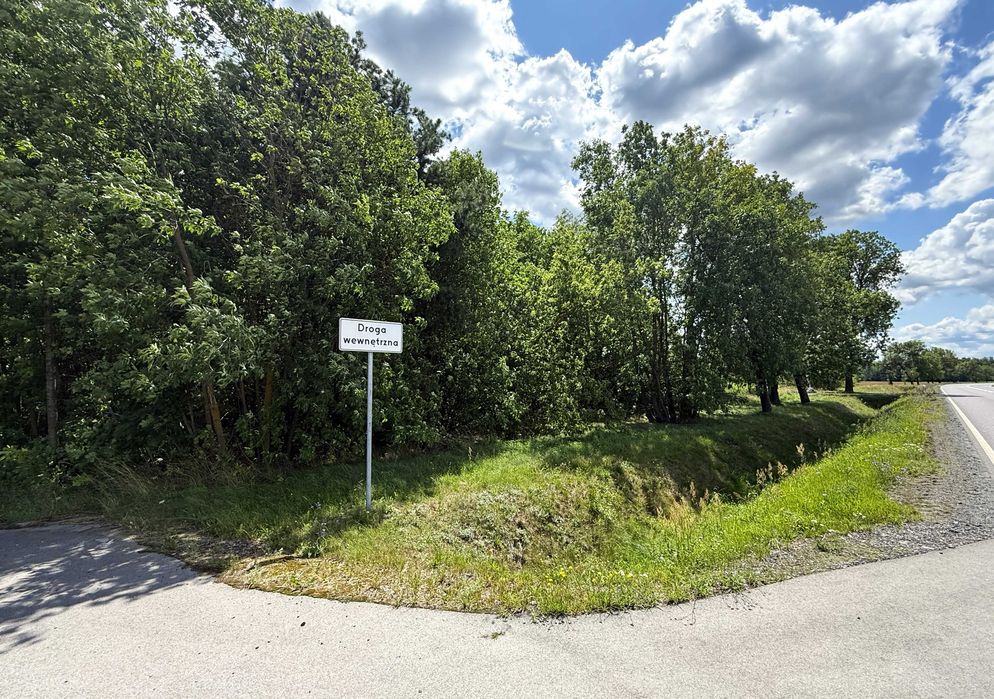 Siemień Kol., gm. Siemień – działka rolna, leśna - Widok 5