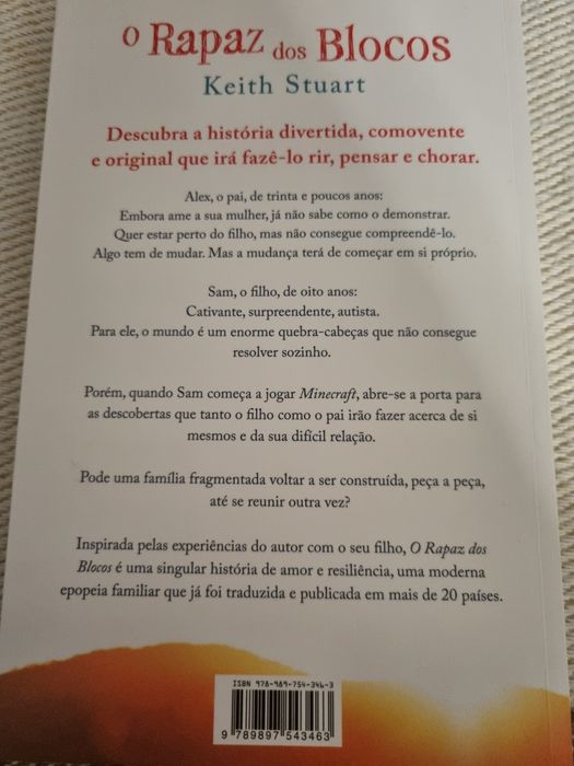 Livro O Rapaz dos blocos