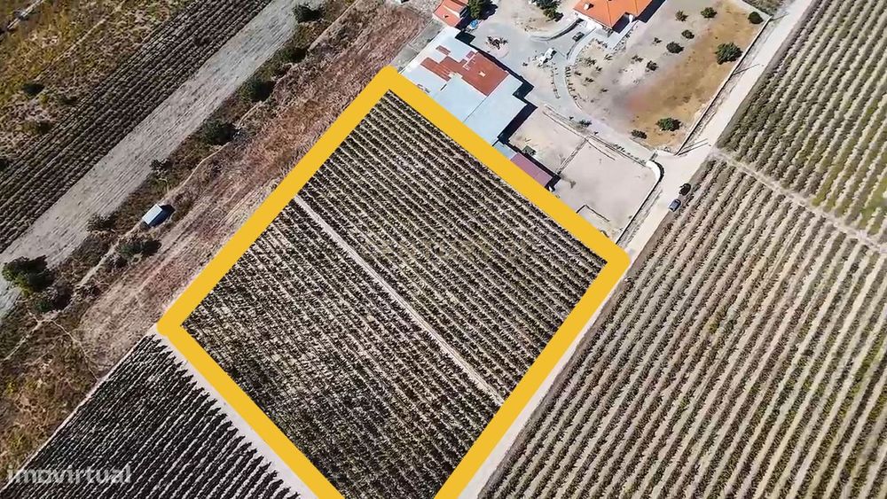Terreno com 9000m2 com vinha e PIP aprovado!