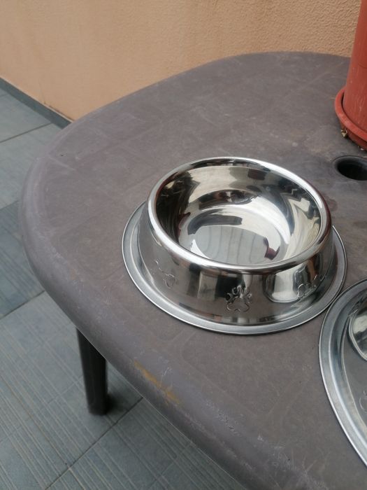 Bebedouro/Comedouro para cao/gato