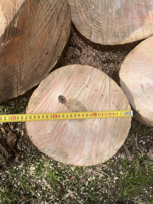 Sprzedam plastry drewna