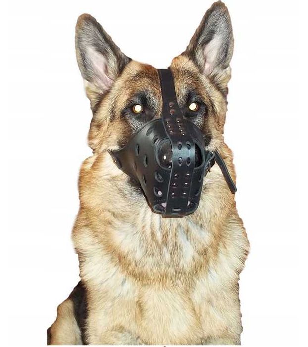 Kaganiec Owczarek Szkoleniowo-bojowy