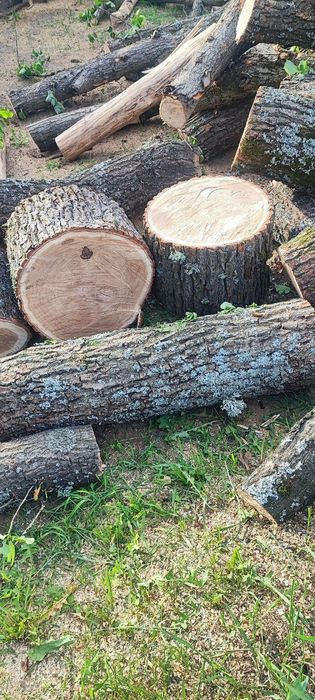 Продам колоті дрова твердих порід