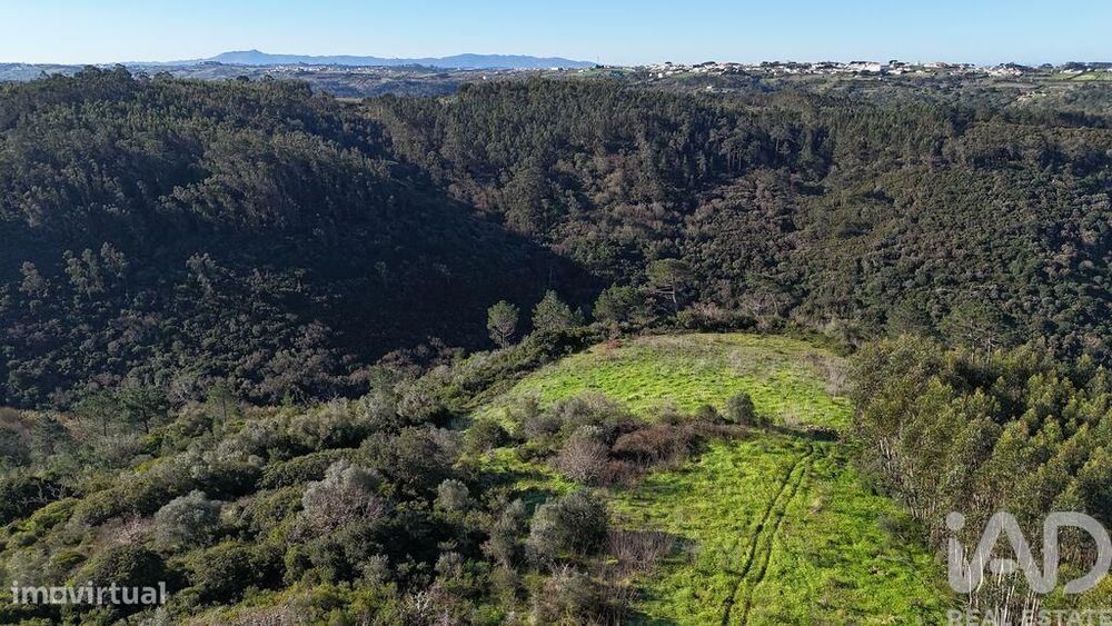 Terreno Agrícola em Mafra