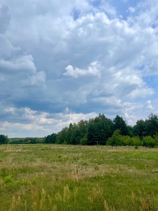 Działki budowlane 1000m Owczarnia i Żółwin