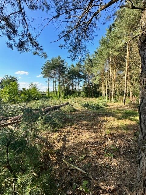 Dzialka rekreacyjna Ķępiaste obok serocka !!! Dobra lokalizacja !!!