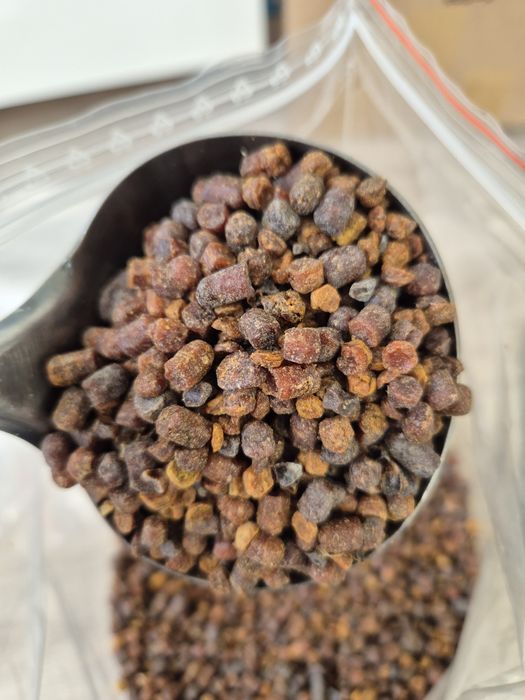 Pierzga Pszczela 1 kg