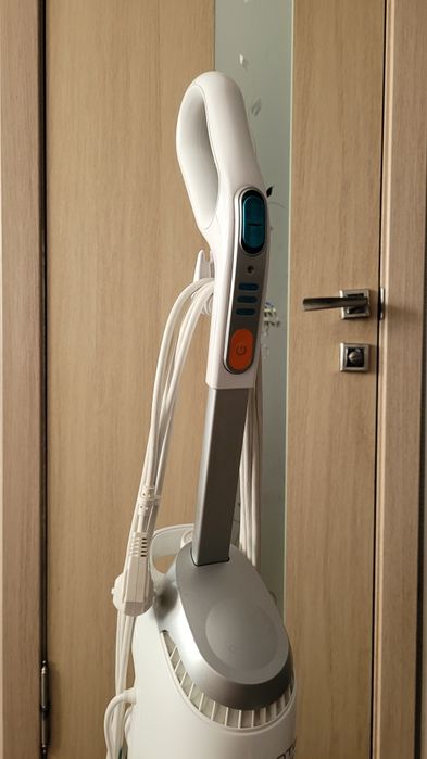 Rowenta Steam and Clean