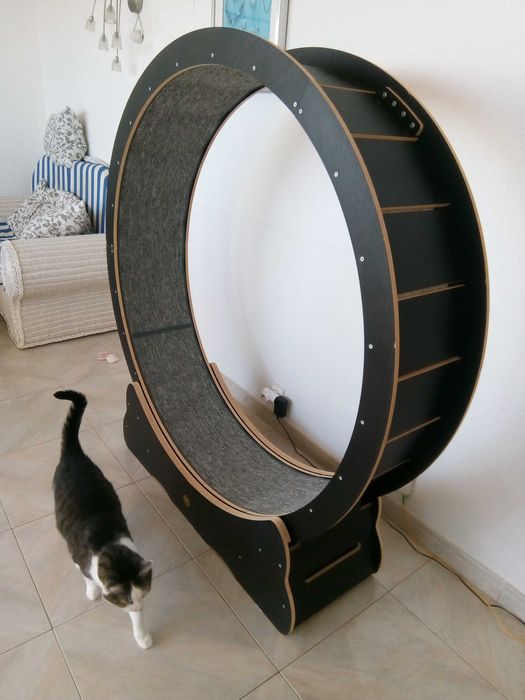 Cat exercise wheel