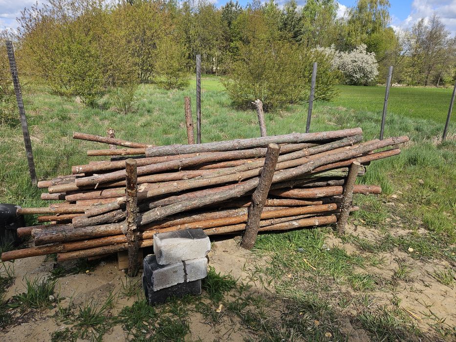 Stęple budowlane
