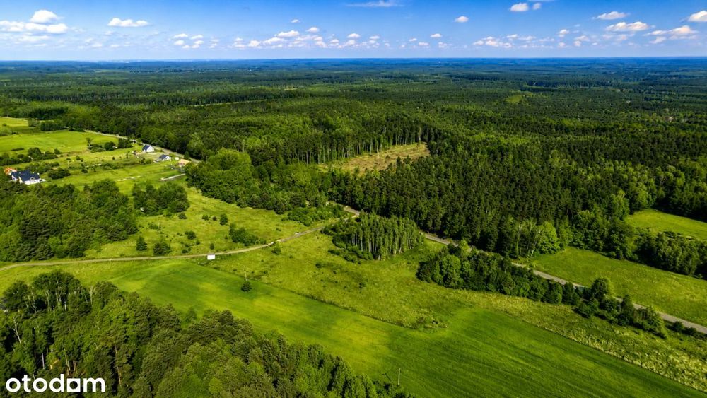Działka budowlana 2660 m² przy lesie | Mpzp | Med – pohled 3