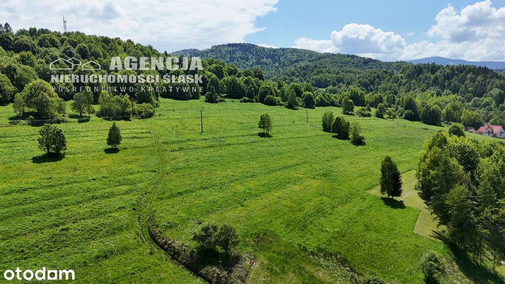 Cisza, spokój, natura, widoki!