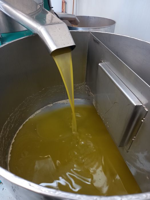 Azeite Novo  Virgem Extra de Trás-os-Montes c/ 0.2% acidez