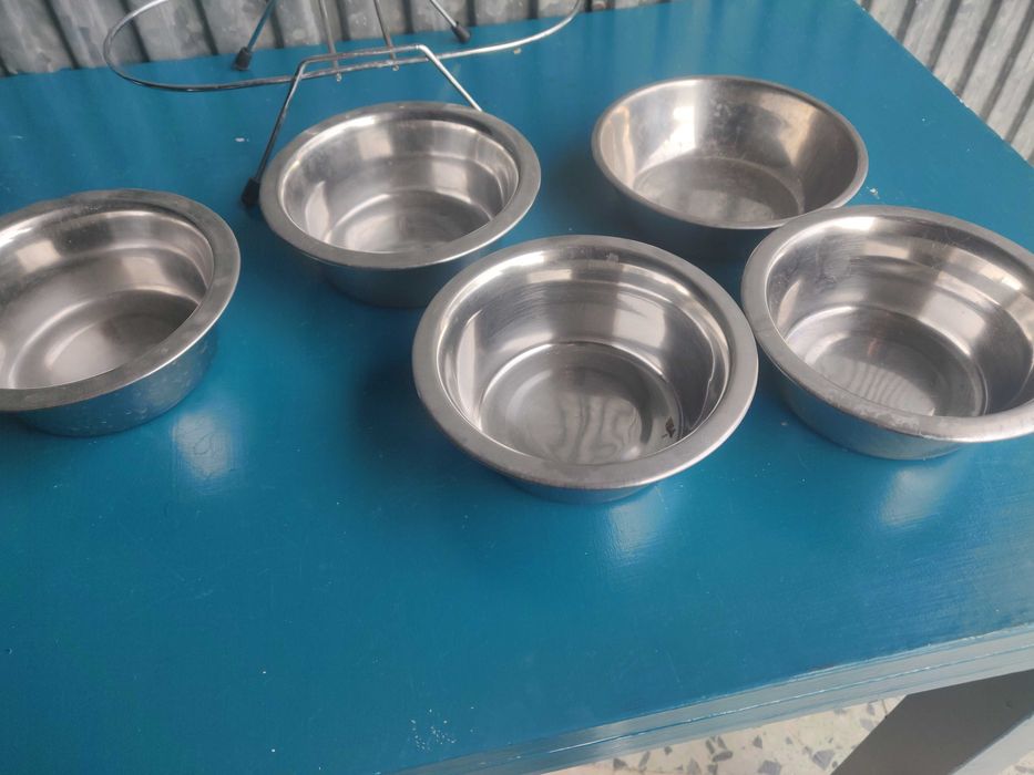 conjunto de taças para animal