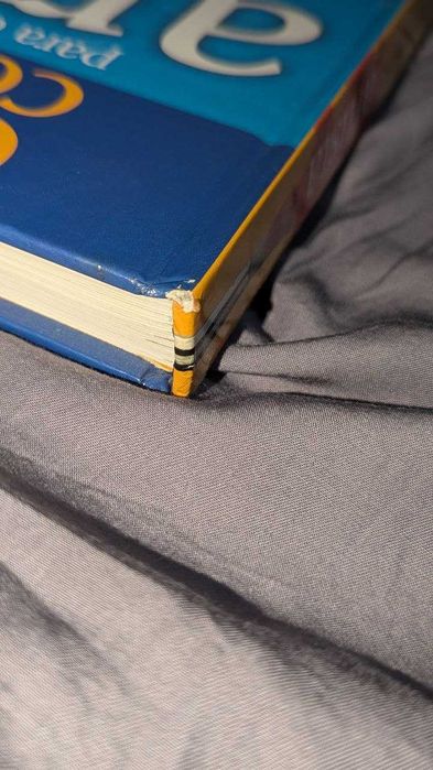 Livro sobre pintura