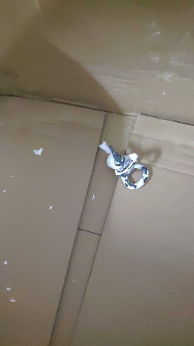 Máquina pintar WK500900 WERKU Airless