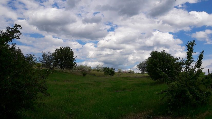 Земельна ділянка