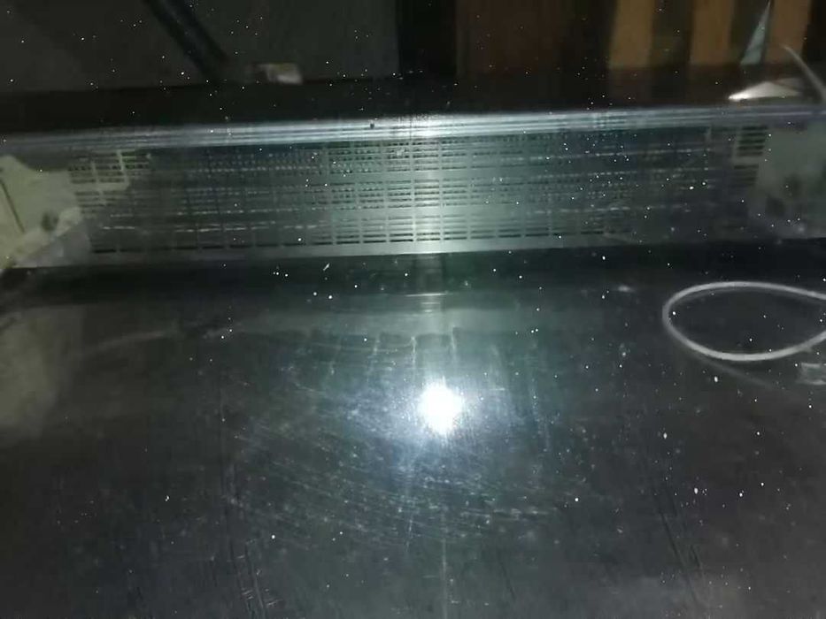 Vitrine de peixe