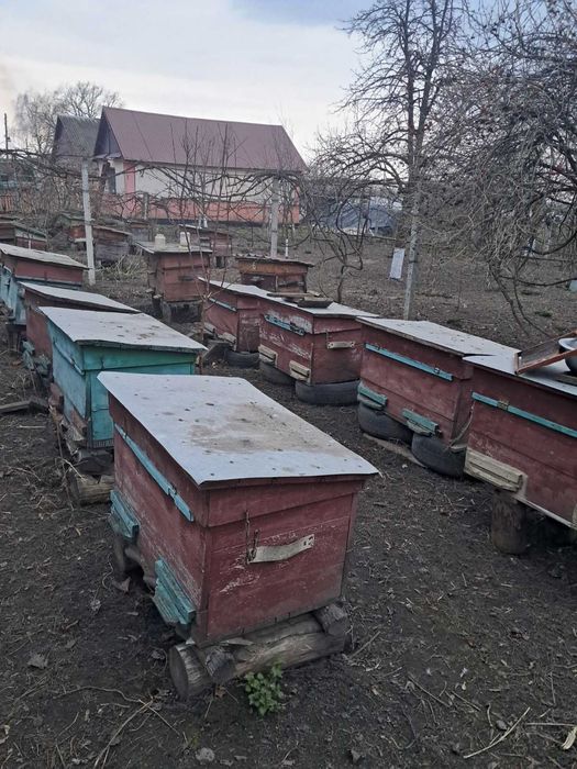 Вулики лежак на 24 рамки