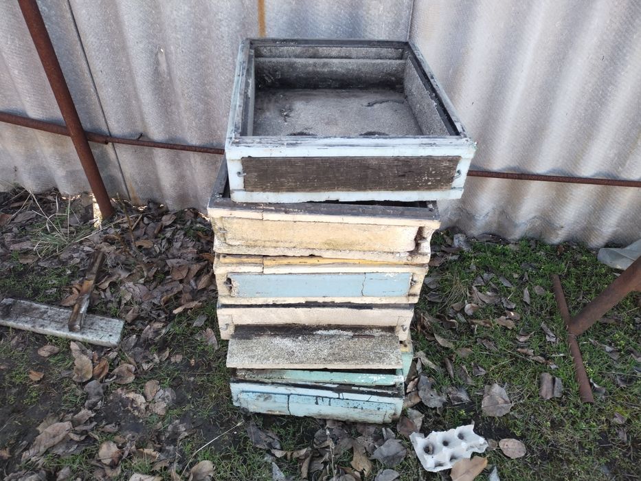 Днища ппс лисонь бартнік бу